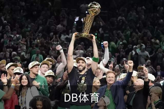 DB体育品牌介绍图片